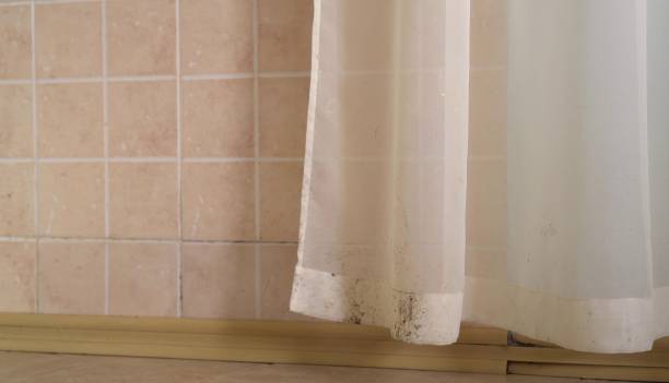 Best Residential Mold Inspection & Testing  in Cambridge, MA