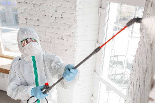Best Post-Remediation Verification Testing  in Cambridge, MA