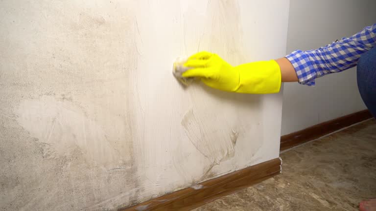 Best Real Estate Mold Inspection  in Cambridge, MA
