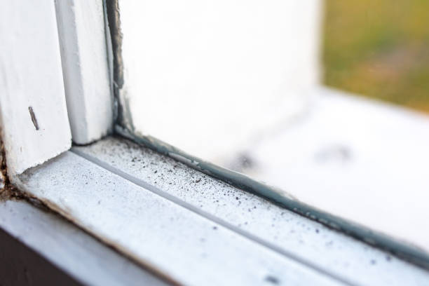 Best Air Quality Testing for Mold Spores  in Cambridge, MA