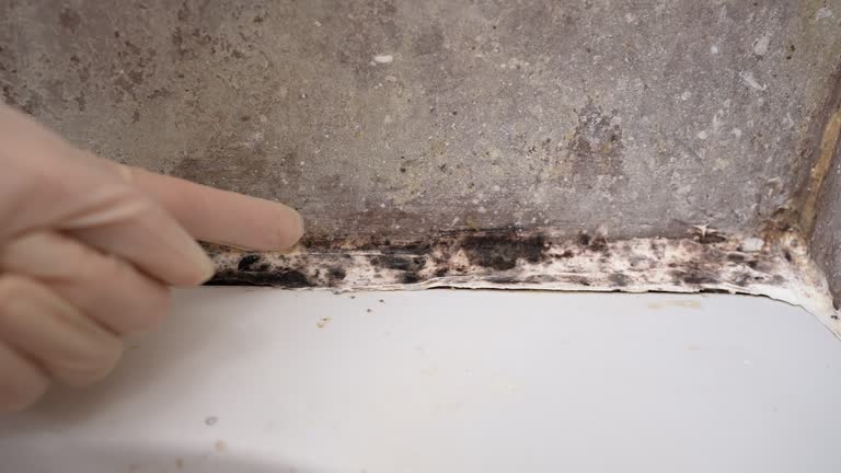 Best Indoor Air Quality Assessment  in Cambridge, MA